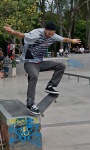 SkatePark 2012 -Torneo RedBull-